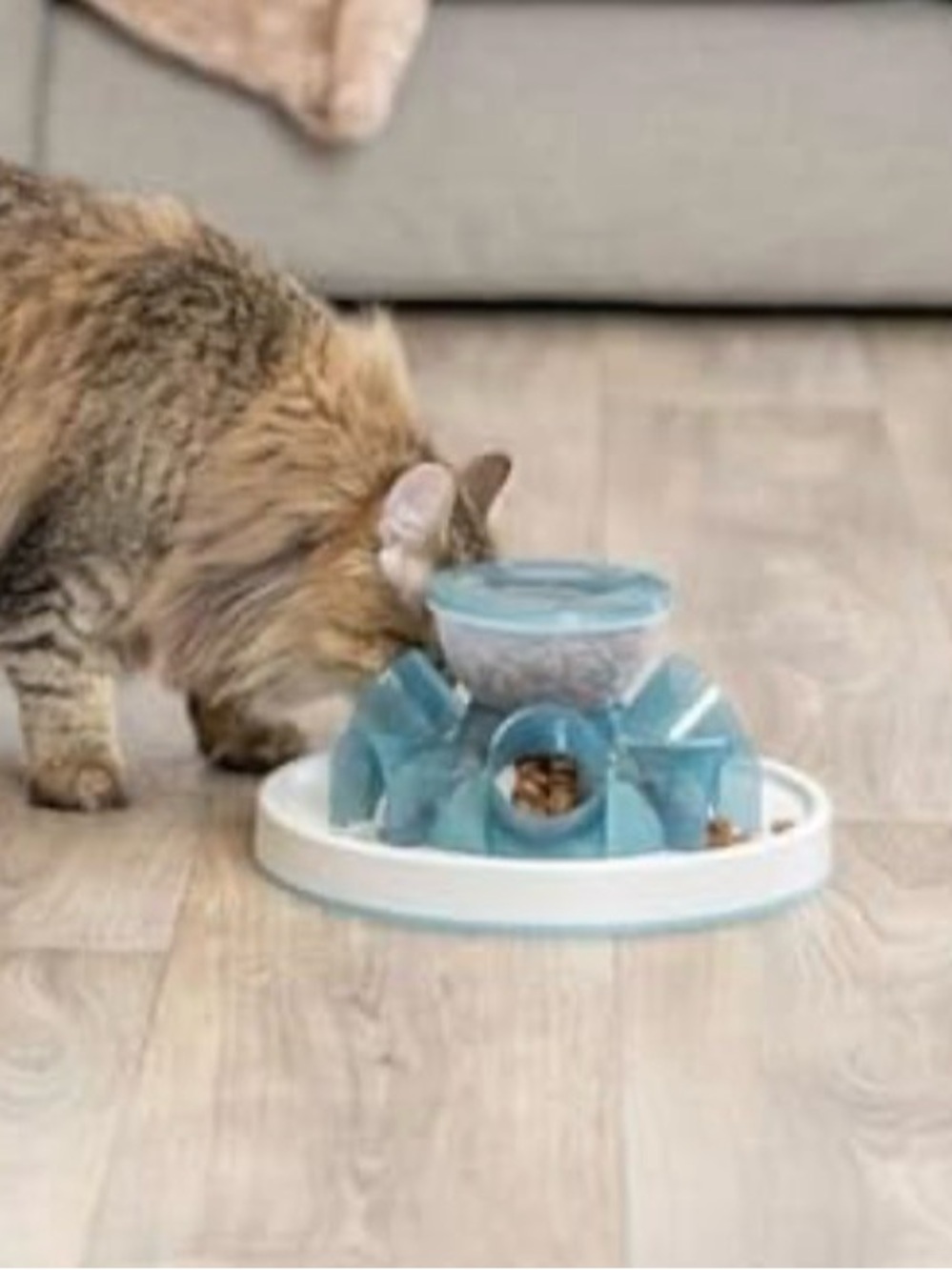 Interactive Cat Slow Feeder & Treat Dispenser - Light Blue